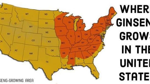 미국의 인삼 자생 지역