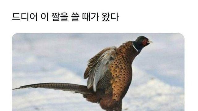 영하 날씨에 러닝 하면 위험한 이유