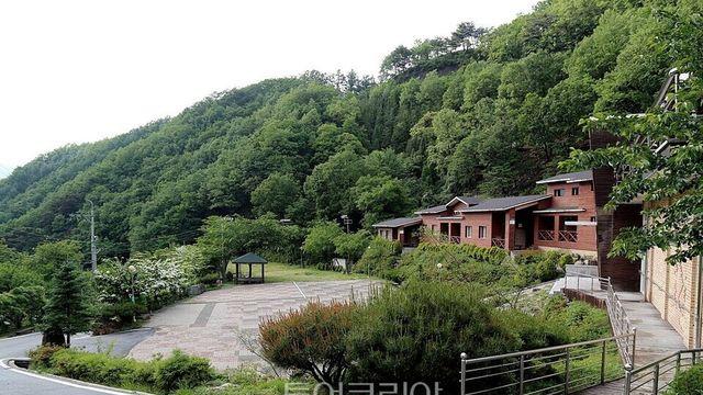 영동 민주지산자연휴양림, 새단장 후 인기 재점화