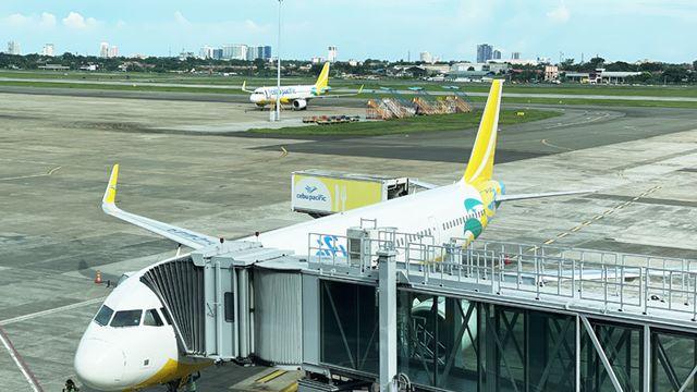 [르포] 합리적 가격에 특별한 경험까지… 세부 여행에 이용한 세부퍼시픽항공 리뷰