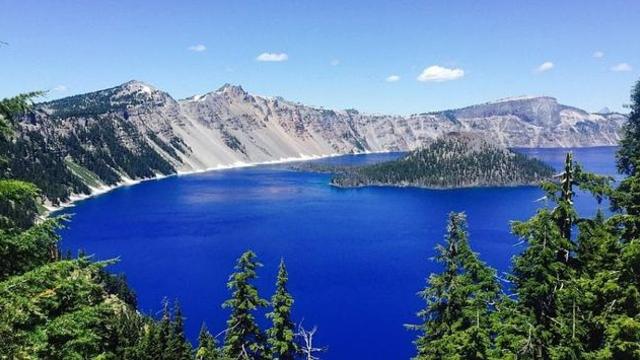 미국의 저주받은 통나무..jpg