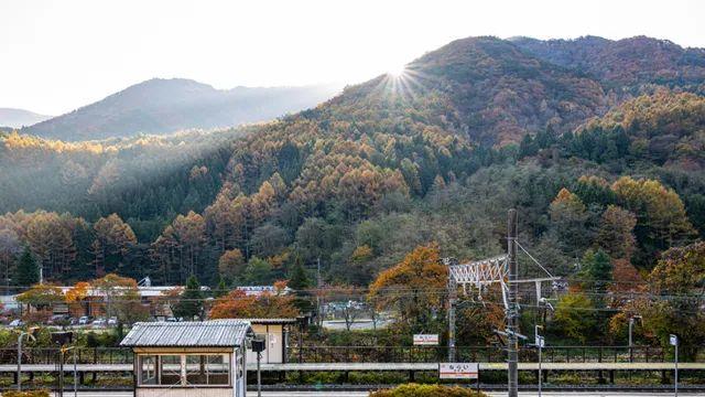 나라이주쿠 (8장)