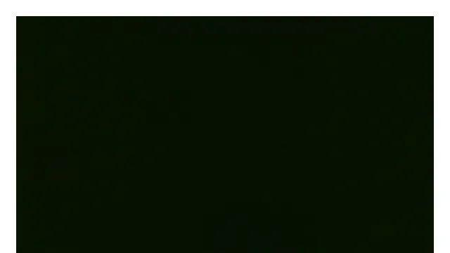 필름 여행기. 뉴욕 6