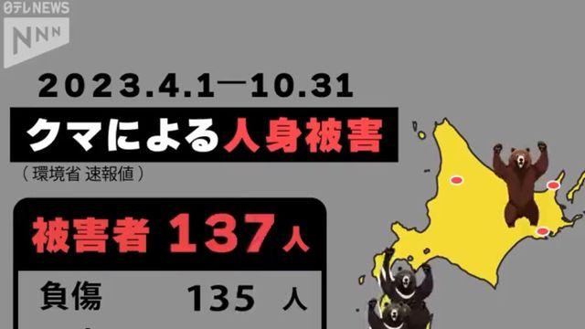 일본 곰 피해 의외의 사실
