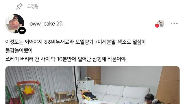 쓰레기 버리러 간 사이 딱 10분만에 일어난 삼형제 작품