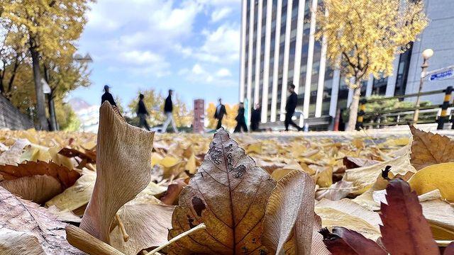 [날씨] 찬 바람에 기온 '뚝'…아침 최저 0∼11도