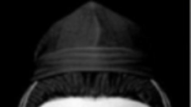 복원에 성공한 백제 귀족.