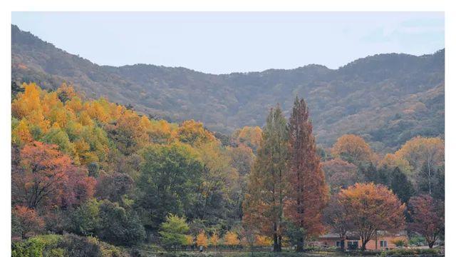 공주 다녀온 사진 봐줄래..? (14장)