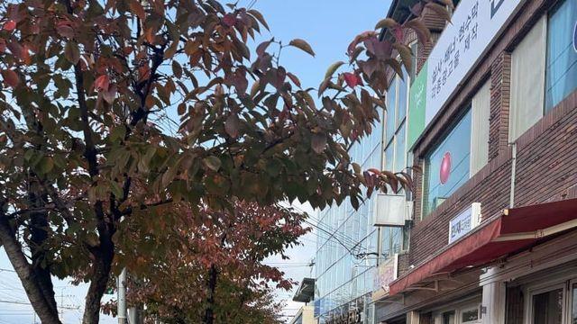 런린이 첫 마라톤 갔다왔어