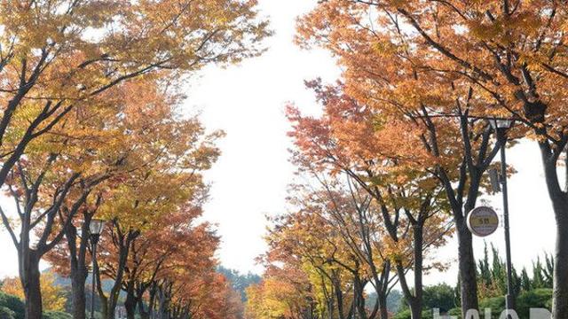 맑은 대구·경북, 찬바람에 체감온도 '뚝'…아침 1도·한낮 15도