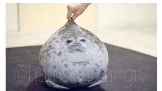 업체가 사과했지만 고객들은 다 좋아했다는 썰