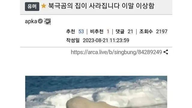 북극곰의 집이 사라집니다 ,,