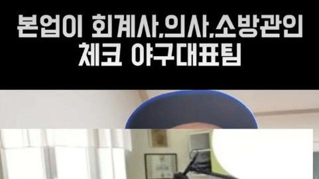 체코 야구선수들의 본업