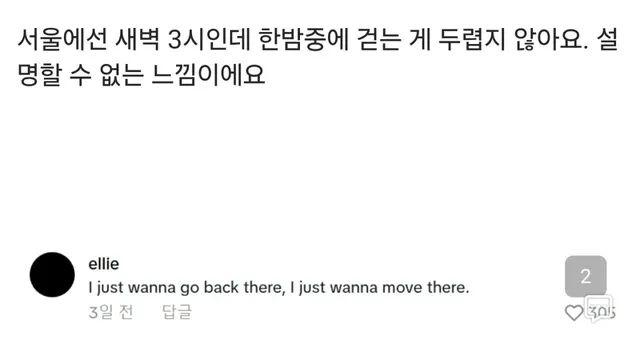 새벽 3시 서울의 치안력.mp4,,