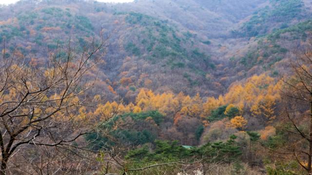 가을에 가볼 만한 곳, 홍성의 자연이 선사하는 여유와 미식의 즐거움