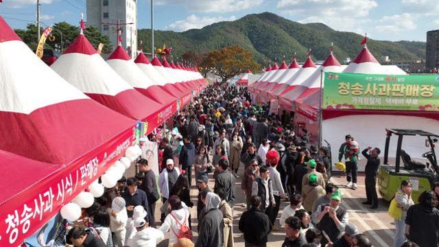 청송군, 사과축제 기간 사과 판매 부스 매출 10억원 돌파