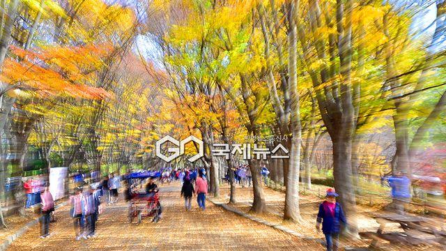 날씨, 서울아침5도 