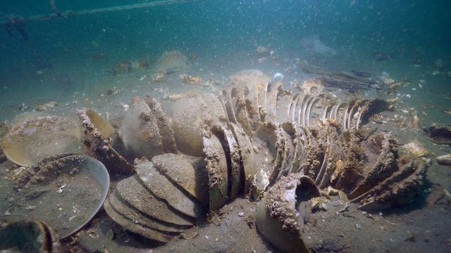 '바닷속 경주'서 난파선 흔적 또 찾았다…청자 다발·닻 발견