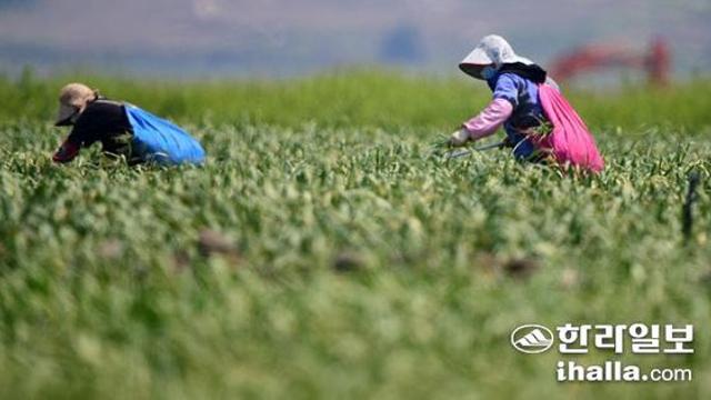 내년 농민수당, 40만원에서 최대 10만원 상향