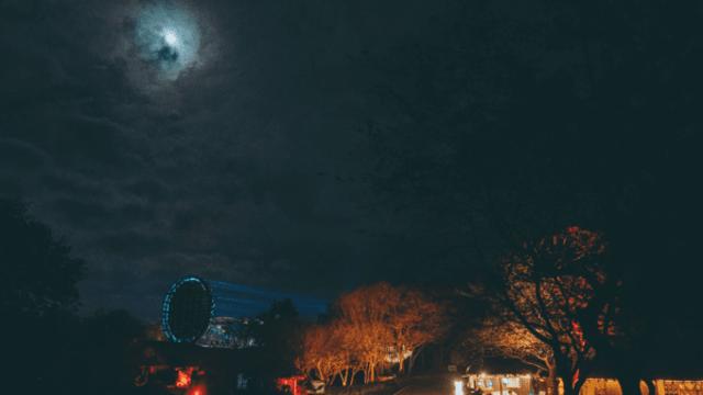 가을 제주 여행, 빛과 바람이 건네는 문화와 예술의 속삭임