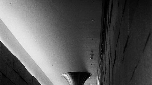 도쿄 F100 탐론24-70 HP5/400D/800T