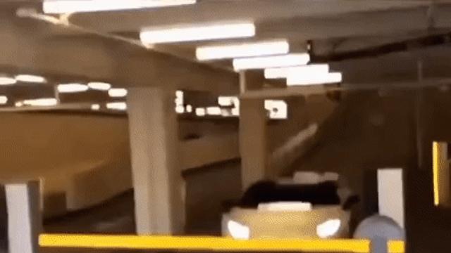 슈퍼카의 소소한 행복.