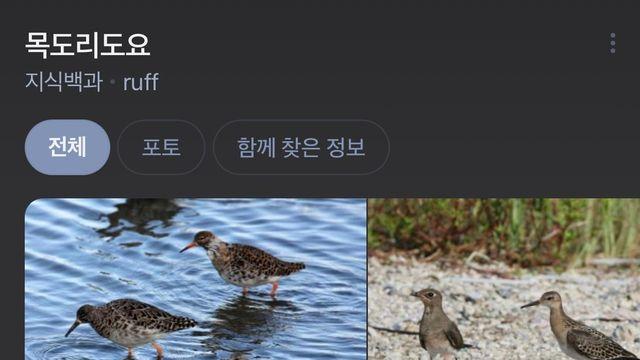 외출시 귀도리 꼭하세요 그리고 