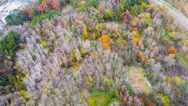 자연 속에서 사색과  미식을 즐기는 영덕여행