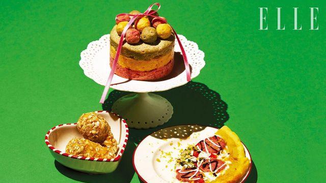 우리집 댕냥이를 위한 풀코스 다이닝 4