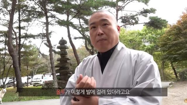 24년 장수한 이 프로그램, 최고 시청률 5%로 일요 예능 1위 섭렵했다