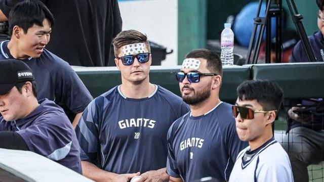 롯데 12연패 만든 '데이비슨의 저주', 본인이 돌아와 깰까…美서 방출