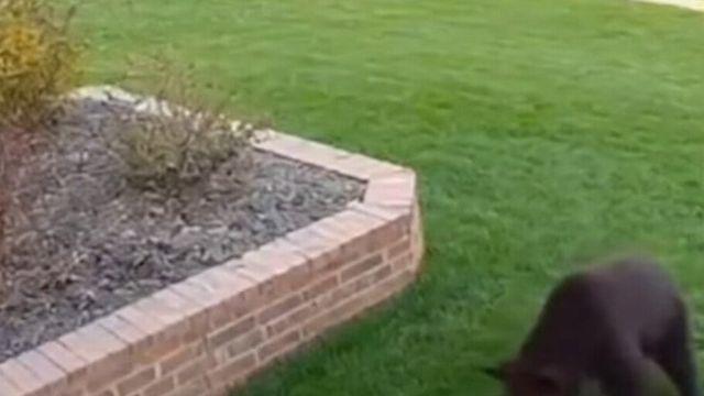 최근들어 독버섯처럼 퍼지는 AI 영상 