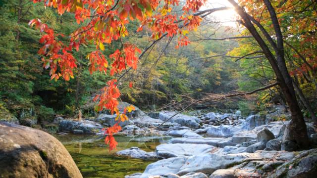 강원도 가볼 만한 곳, 가을 자연 속 고즈넉한 쉼과 활기찬 체험