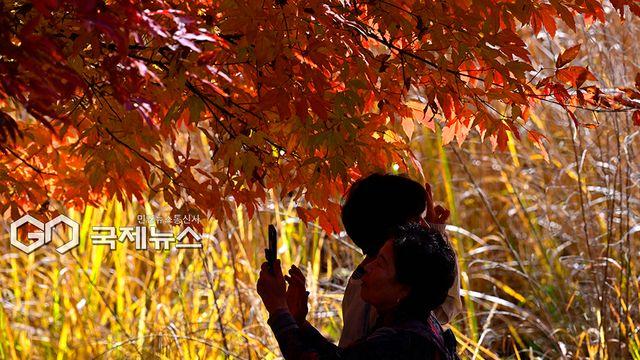 [오늘날씨] 강풍에 출근길 강추위...서울 낮 11도·대구 14도 '쌀쌀'