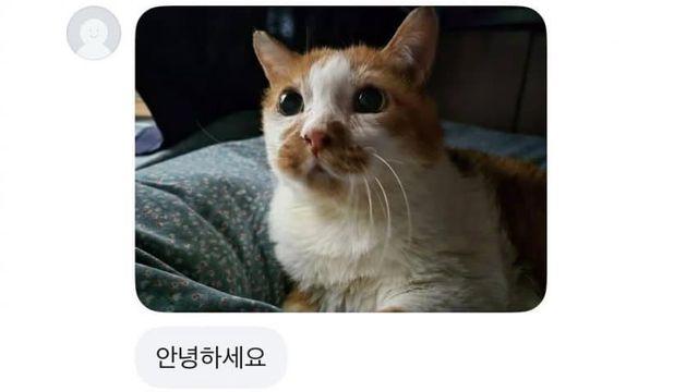 당근 그림의뢰합니다