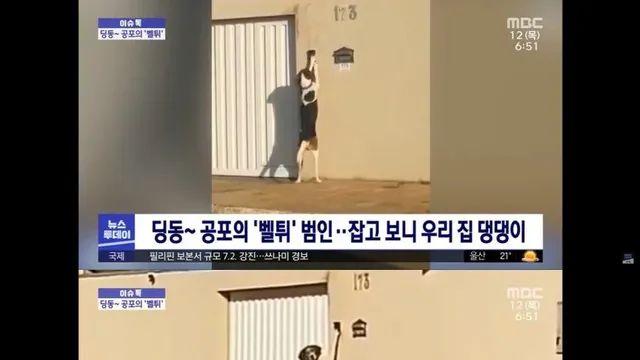 계속 벨튀하던 범인 드디어 잡음,,