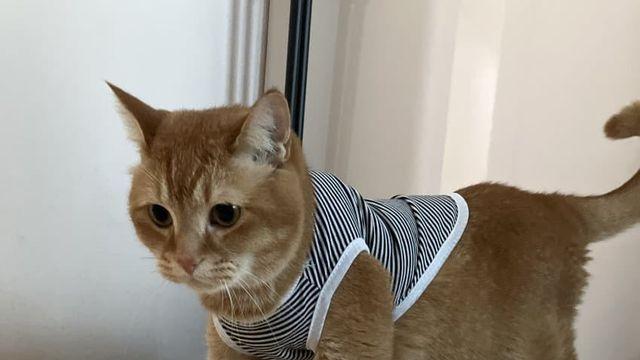 언론에서 꼴깝떨다 소리소문 없이 사라진거