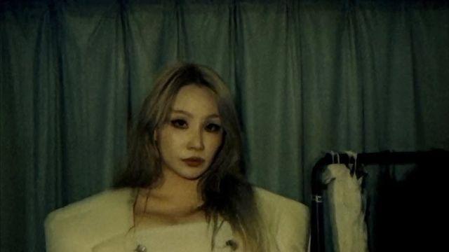 2NE1 CL도 박봄 우려했나…