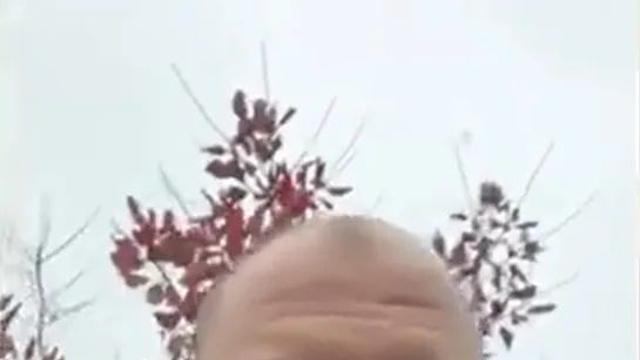 졸리 경호원, 우크라이나서 징집 명령…SNS로 입장 밝혀