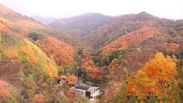 시설 보강한 충북 영동 민주지산휴양림 '인기몰이'