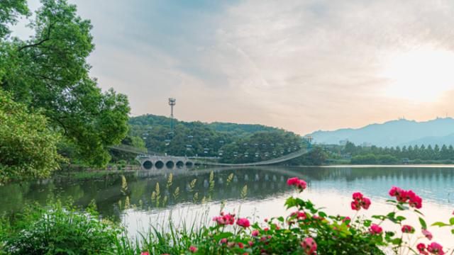과천의 숲길 따라 걷는 이야기, 자연과 문화의 조화