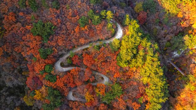 단양 가볼 만한 곳, 가을 하늘 아래 펼쳐지는 자연의 품격