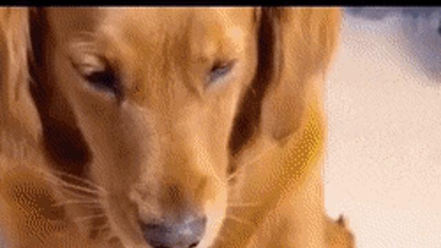 맛있는건 나눠 먹는거야.