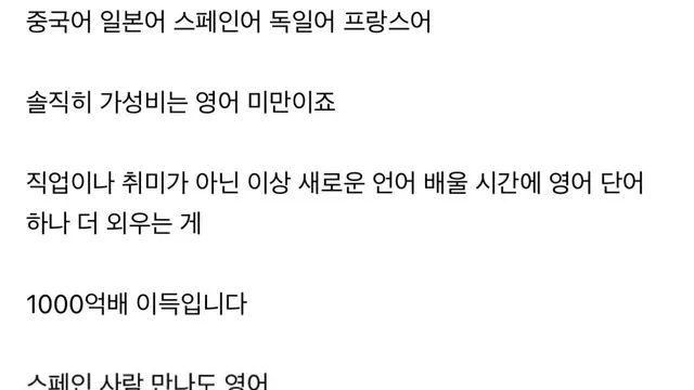 애매하게 제 2외국어 배우지 말고 영어만 올인해라