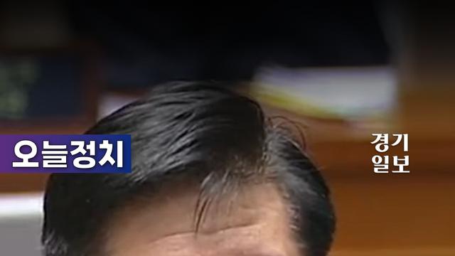 나경원에 