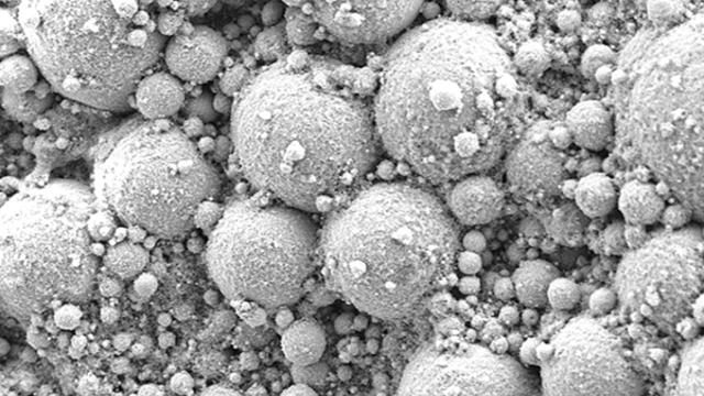 '살아 있는 금속', 생명과 전자의 경계를 허물다