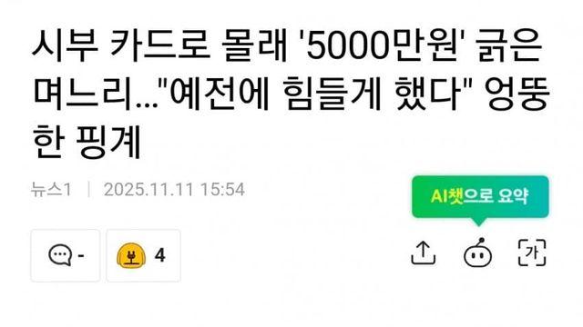 시부 카드로 몰래 5000만원 긁은 며느리