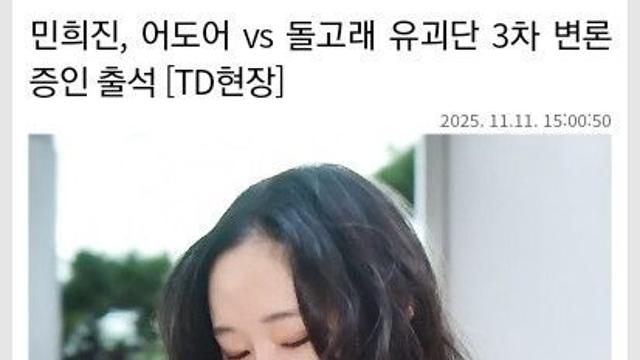 민희진, 어도어 vs 돌고래 유괴단 3차 변론 증인 출석