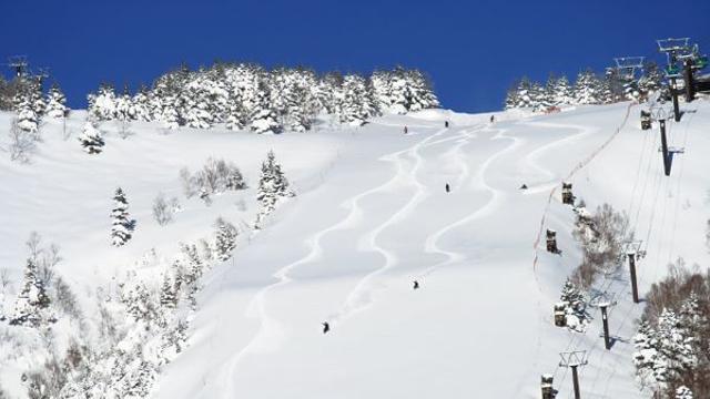 한국 스키어 위한 일본 겨울여행의 새 기준 ‘Ikon Pass’로 연결