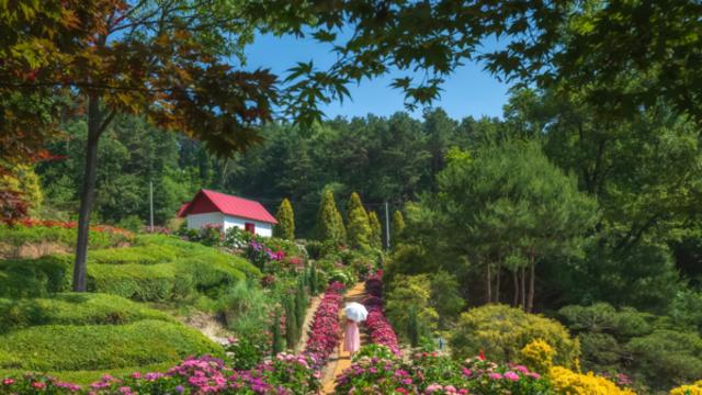 경기 광주 가볼 만한 곳, 아이들의 웃음이 가득한 가을 나들이